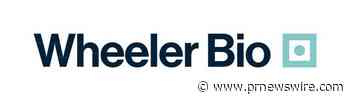 Wheeler Bio Appoints Dr. Stewart McNaull as Chief Business Officer