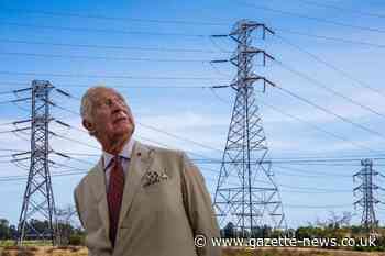 East Anglia pylons action group seeks support from King