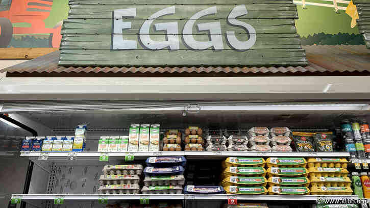 Sky-high egg prices are finally coming back down to earth