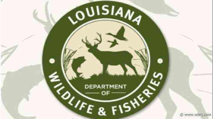 Folks can fish for free in Louisiana on Saturday, Sunday