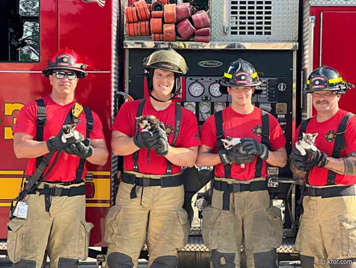 'A purrfect combo': Norman firefighters pose with adoptable kittens