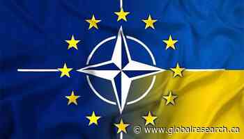 NATO to Send Force to Ukraine