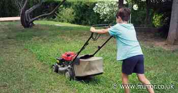 'My neighbour is livid I won't let her son mow my lawn - but I refuse to pay £12 for it'