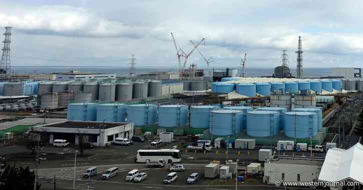 Japan Accused of Secretly Releasing Irradiated Fukushima Water Into the Sea