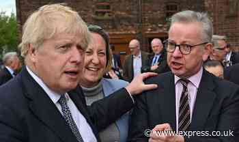 Boris Johnson's hairdresser deserves her OBE, jokes nemesis Michael Gove