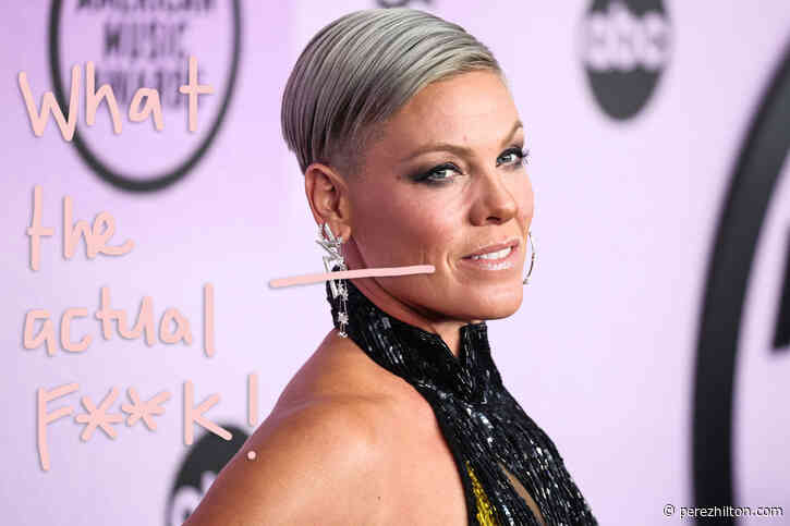 Someone Threw Their Mom's Ashes At Pink While She Was Performing -- OMFG!!