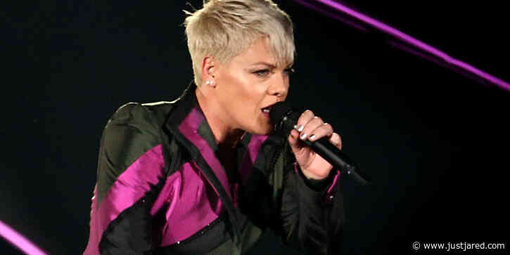 Pink Shocked After Fan Throws Mother's Ashes Onstage