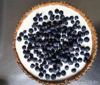 Buttermilk-blueberry tart with walnut crust