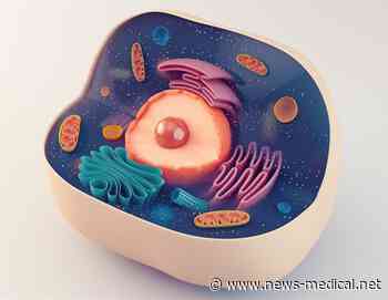 New pathway for HIV to enter nucleus of healthy cells identified