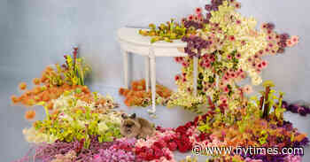Florists Take to the Floor