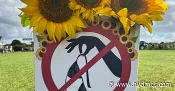 Sunflower Farm Warns Guests, ‘Keep Your Clothes On’