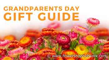 Grandparents Day Gift Guide