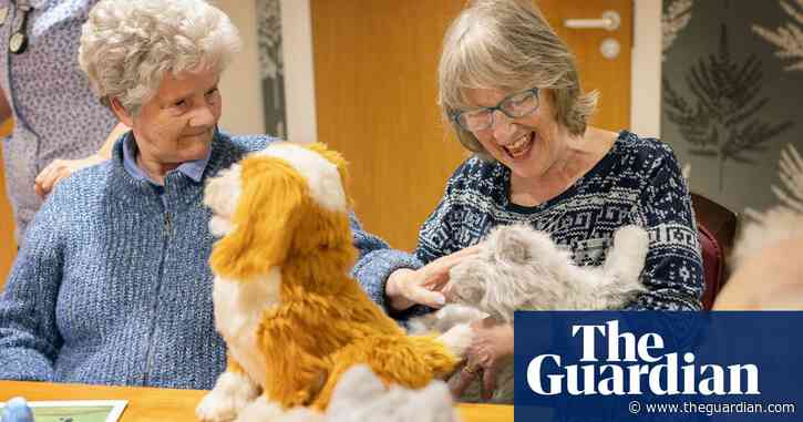 Robot pets are a symptom of a crisis in care | Letter