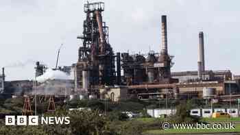 Port Talbot: Tata Steel would have left UK without aid - Welsh secretary