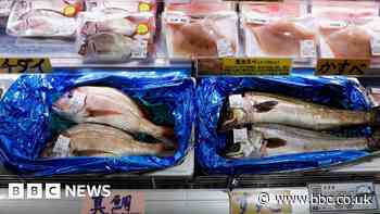 Fukushima: China's seafood imports from Japan down 67% in August