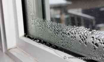 65p item ‘effectively gets rid of mould and condensation’ on windows by ‘killing bacteria’