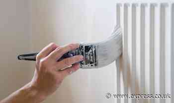 ‘I’m a DIY expert - here’s how to paint your radiators with a neat finish before winter’