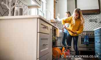 ‘Vampire appliances’ adding ‘hidden costs’ to your annual energy bills - how to save