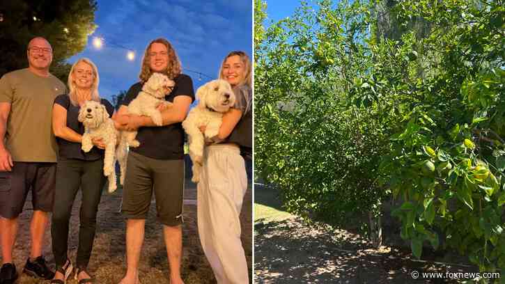 Arizona dog who reunited with his family after going missing for 12 years has died