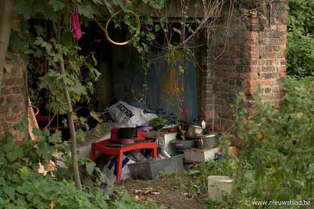 Dakloze maakt huisje onder oude spoorweg in Hobokense Polder: “Mooiste dat we al gezien hebben”