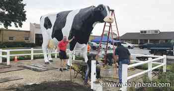Why a 14-foot-tall Holstein statue is seen as an educational opportunity in Lake County