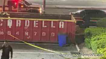 Smell uncovers body dumped in NYC recycling bin after 9 days, neighbors say