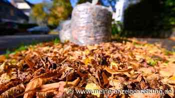 Herbstlaub richtig entsorgen: Darf man die Blätter in den Biomüll werfen?