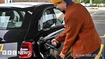 Car makers split on decision to delay petrol ban