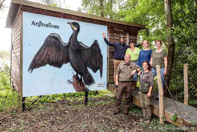 Nieuw graffitikunstwerk langs Animalinas-route eert Aalscholvers in Broek De Naeyer