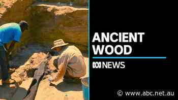 Archaeologists uncover 476,000-year-old wooden structure in Zambia