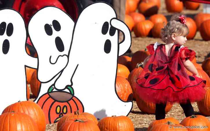 Boos!Letter: Pumpkin patches and kid-friendly Halloween events