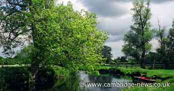 Riverside walk takes you through meadows and one of the prettiest villages in Cambs