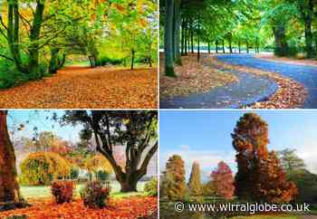 A dozen of the best autumn walks to enjoy in Wirral this weekend
