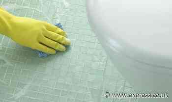 95p item ‘works wonders’ to remove urine smells from toilet without resorting to bleach