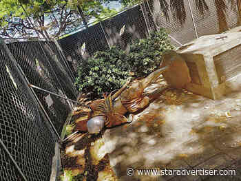 Toppled Waikiki Gandhi statue prompts concern amid acts of vandalism