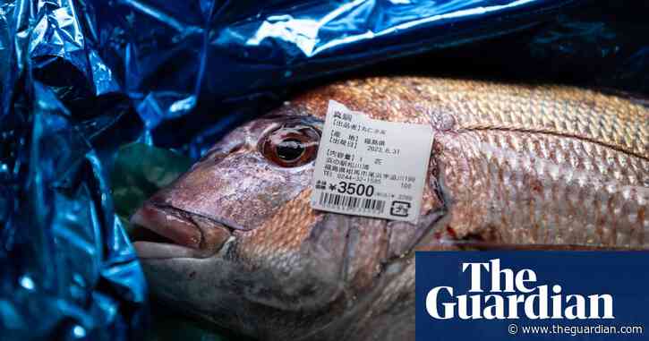 China drastically cuts seafood imports from Japan in wake of Fukushima water release