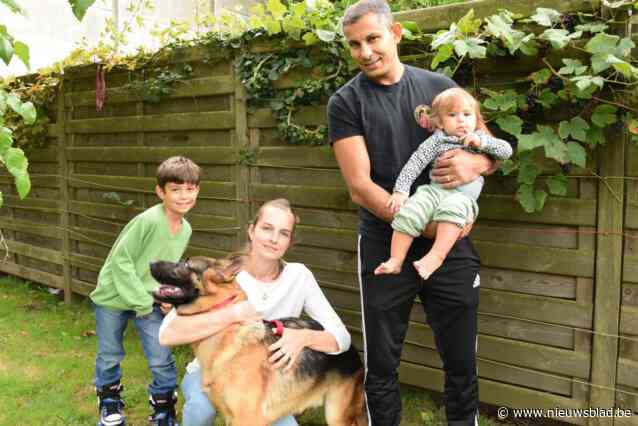 Gezin van Laura start inzamelactie om zieke hond Wølff te redden: “We kregen het niet over ons hart om hem te laten inslapen”
