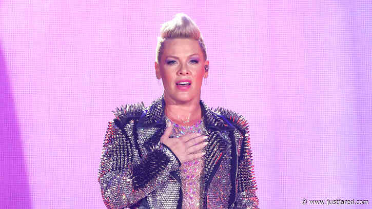 Pink Tells Security to Remove Concertgoer for Protesting Circumcision in Front Row at Her Show