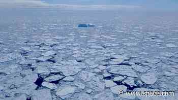 Antarctic sea ice hits 'record-smashing' low this year, satellite data shows