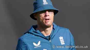 Andrew Flintoff wanted as part of England's coaching team for five-Test tour to India in January after successful stint working with white-ball team