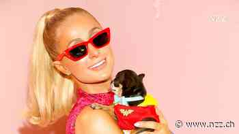 Paris Hilton legt ihr Partyleben auf die Couch. Wie schade.