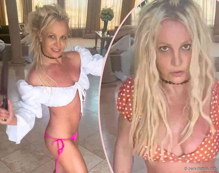 Britney Spears Addresses Cops Visiting Her Home & Asks Fans To Stop Calling Them Over Knife Video!