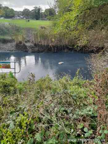 East Sussex residents outraged as river turns grey