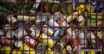 $14M for ‘better access to nutritious food’: B.C. food security investment 