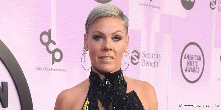Pink Postpones Texas Concert Hours Before She's Supposed to Take Stage, Reveals New Date
