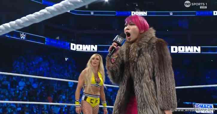 WWE Women’s Title Match Set For WWE Fastlane