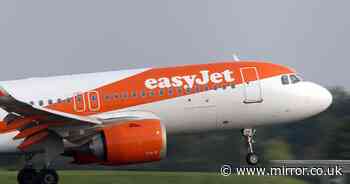 Spanish police storm easyJet flight as it's diverted due to 'eight violent passengers'