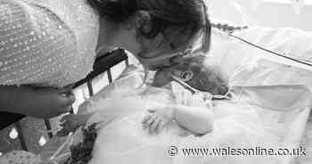 'My little girl died in my arms — she passed away while I was giving her a cuddle'