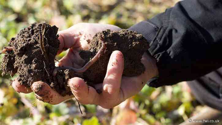 UK farmers paid €36 per carbon certificate for harvest 2022