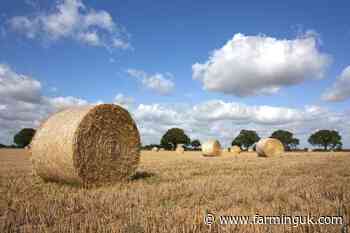 Suffolk Council defies vegan trend and passes motion to support farmers